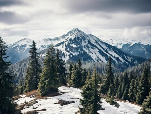 Foto pinos en la montaña cubierta de nieve bosque mágico de invierno paisaje natural con hermoso cielo