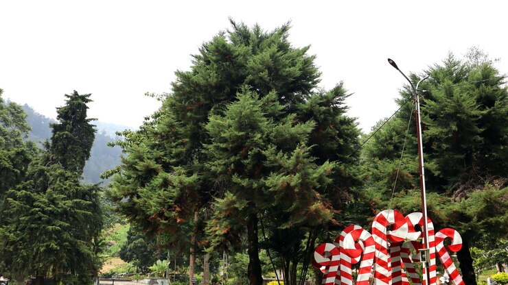pinos y réplicas de decoraciones navideñas en el área del parque Wonderpark Tawangmangu Indonesia