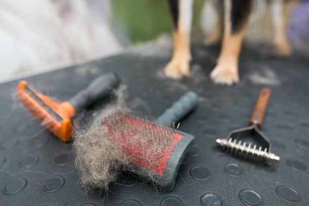 Pinsel mit Wollstücken