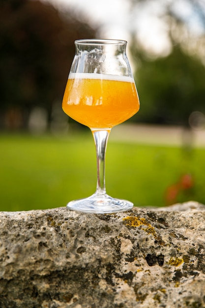 Pint Lagerbier auf dem Stein im Garten Country Pub Bier