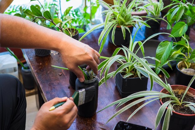 Foto pintar una olla de flores recicladas en negro en casa proyecto de maquillaje de plantas de interior