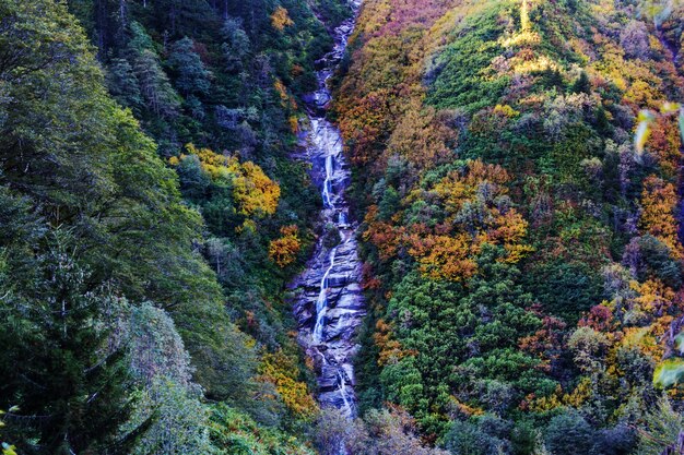 Pintoresca cascada de otoño