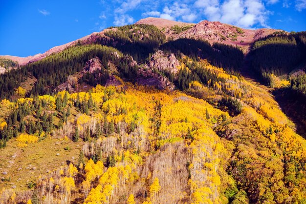 Pintoresca montaña de otoño paisaje natural de otoño de Colorado