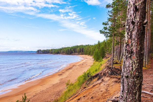 La pintoresca orilla del lago Onega. Bosque, rocas y playa. naturaleza del norte. Viajar en Rusia.