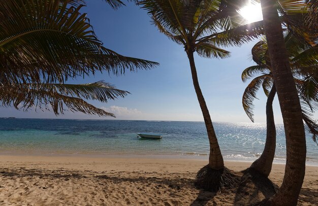 La pintoresca playa caribeña isla de Martinica Antillas Francesas