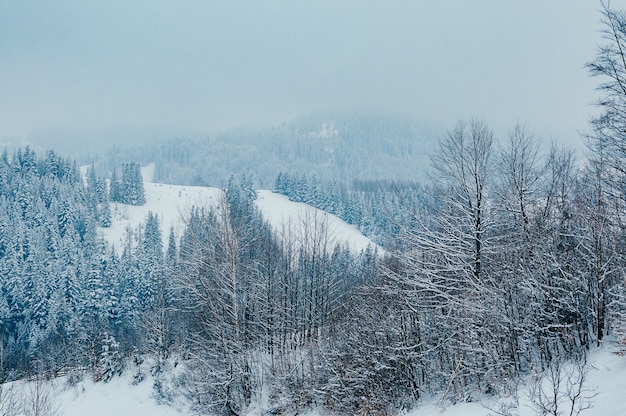 pintoresca y tranquila escena invernal ubicación del complejo europeo hermoso paisaje de montaña invernal