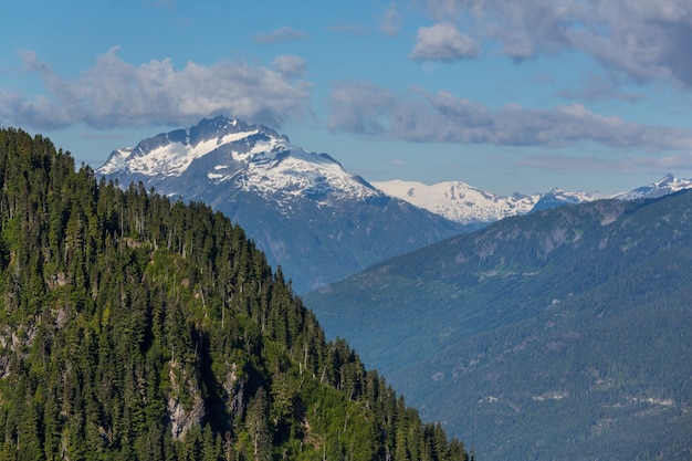 Pintoresca vista a la montaña en las Montañas Rocosas canadienses en la temporada de verano