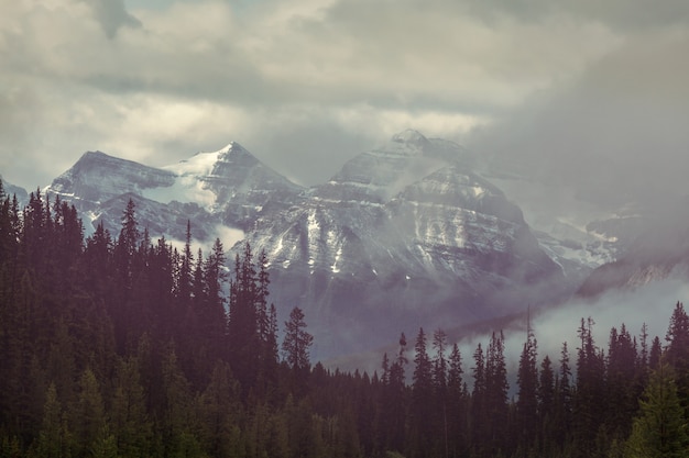 Pintoresca vista a la montaña en las Montañas Rocosas canadienses en la temporada de verano