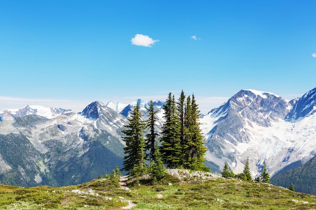 Pintoresca vista a la montaña en las Montañas Rocosas canadienses en temporada de verano