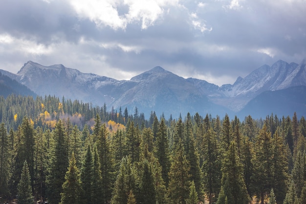 Pintoresca vista a la montaña en las Montañas Rocosas canadienses en temporada de verano