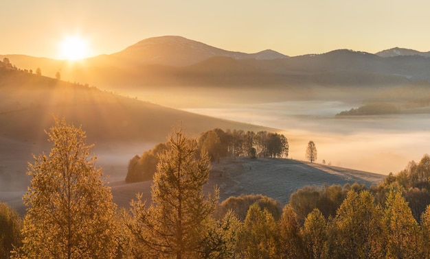 Pintoresca vista otoñal amanecer Niebla matutina sobre un valle de montaña otoño dorado