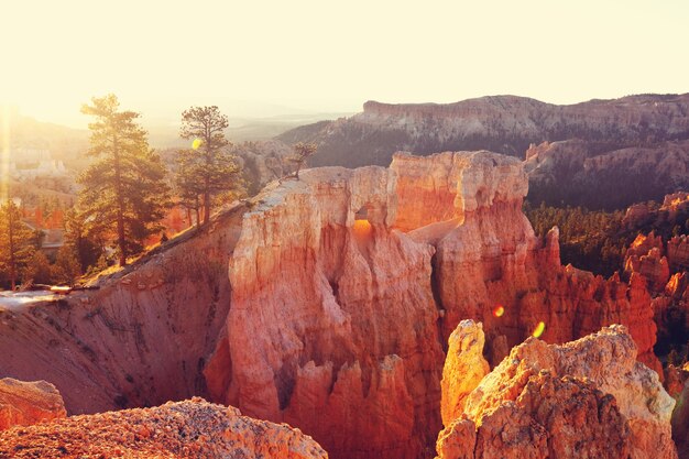 Pintorescas y coloridas rocas rosadas del Parque Nacional Bryce Canyon en Utah, EE.