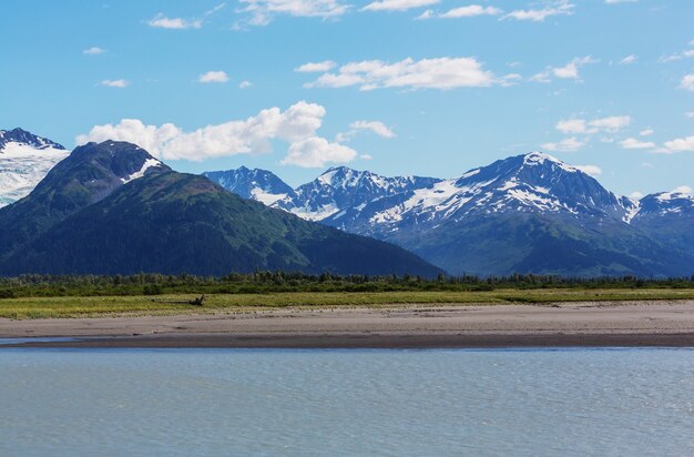 Pintorescas montañas de Alaska. Macizos nevados, glaciares y picos rocosos.