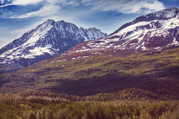 Foto pintorescas montañas de alaska en verano. macizos nevados, glaciares y picos rocosos.