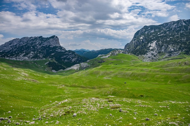 Pintorescas montañas altas en el norte de Montenegro en el Parque Nacional Durmitor