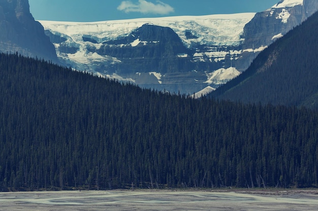 Pintorescas montañas canadienses en verano