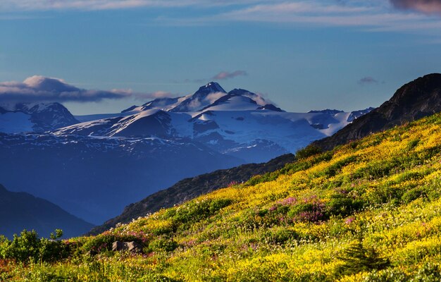 Pintorescas montañas canadienses en verano