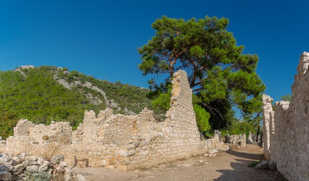 Foto las pintorescas ruinas de la antigua ciudad de olimpo, en turquía