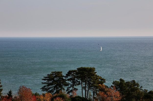 Foto pintorescas vistas al mar en un día soleado en sochi, rusia.