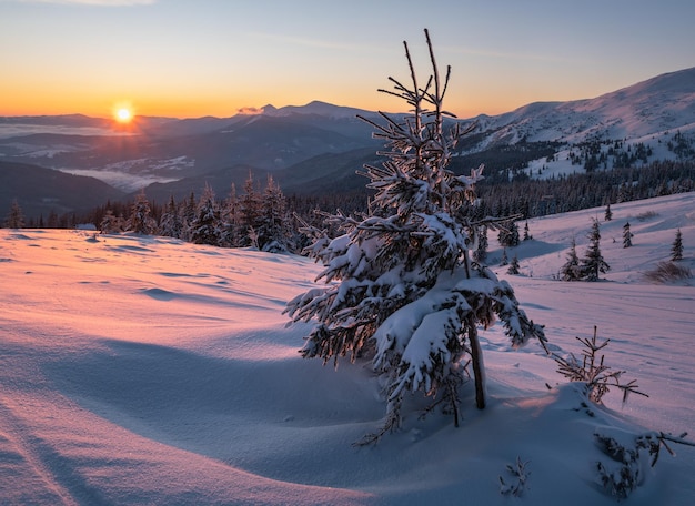 Pintoresco amanecer de los Alpes invernales La cresta más alta de los Cárpatos ucranianos es Chornohora con los picos de las montañas Hoverla y Petros Vista desde la cresta Svydovets y la estación de esquí Dragobrat