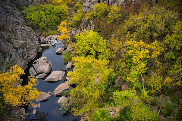Un pintoresco arroyo fluye en el Cañón Aktovsky, rodeado de árboles otoñales y grandes rocas de piedra