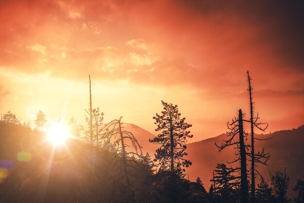 Foto el pintoresco atardecer de california