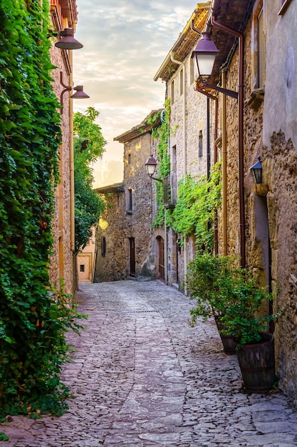 Pintoresco callejón con casas de piedra y plantas de suelo de adoquines y vides al atardecer dorado Peratallada Girona Cataluña