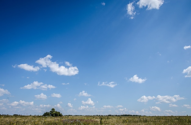 Pintoresco campo contra el cielo azul.