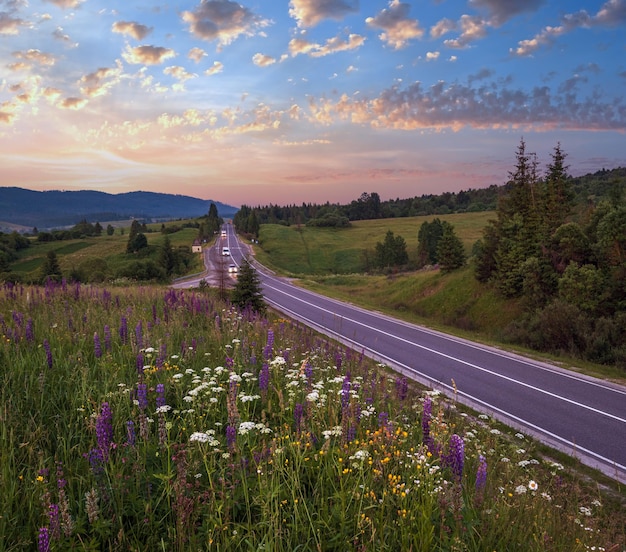 Pintoresco crepúsculo junio prados de montaña de los Cárpatos y carretera Abundancia de vegetación y hermosas flores silvestres