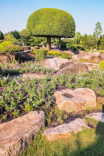 Pintoresco jardín japonés Jardín japonés chino topiary dcoration forma de arbusto de diseño