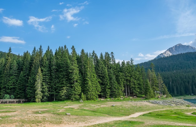 El pintoresco Lago Negro se encuentra en el Parque Nacional Durmitor.