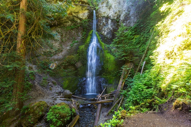 Pintoresco otoño en la isla de Vancouver