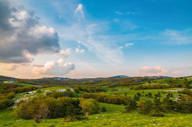 Pintoresco paisaje con árboles y cielo.