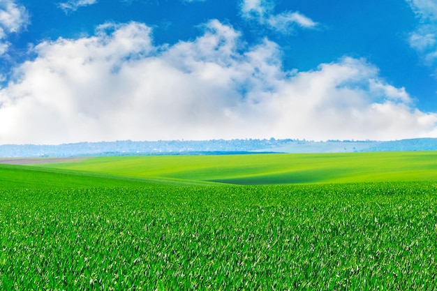 Pintoresco paisaje con campo verde y cielo azul con nubes blancas