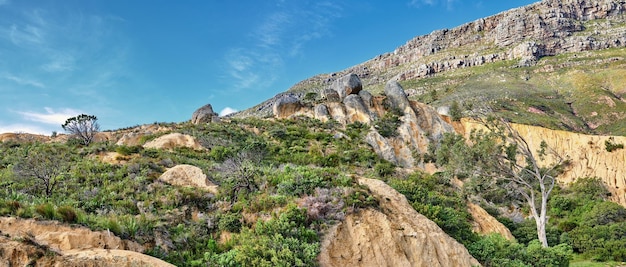 Pintoresco paisaje forestal lleno de árboles naturales y plantas en una montaña en un día soleado de verano Hermosa vista de campo de pastizales en una colina rocosa con rocas y un pico con un cielo azul