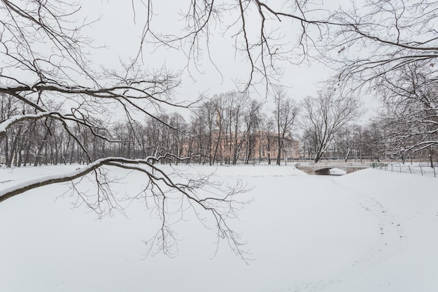 Pintoresco paisaje invernal del parque cubierto de nieve en el centro de San Petersburgo, Rusia.