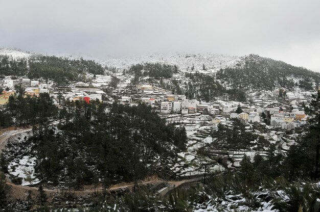 Foto pintoresco paisaje de invierno con nieve y hielo