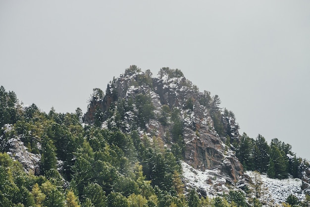 Pintoresco paisaje de montaña con rocas afiladas en la colina nevada con árboles coníferos. Pico puntiagudo rocoso con árboles en la cima de la montaña con bosque en la nieve. Piceas verdes y alerces amarillos en otoño en las nevadas