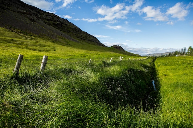 Pintoresco paisaje con naturaleza verde en Islandia durante el verano.