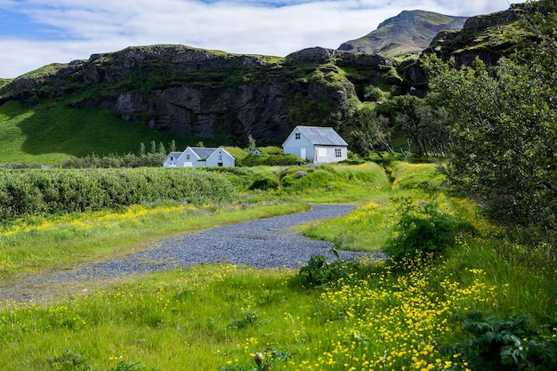 Pintoresco paisaje con naturaleza verde en Islandia durante el verano.