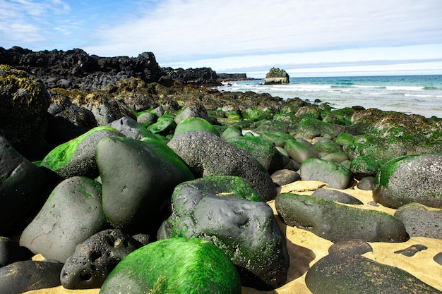 Pintoresco paisaje con naturaleza verde en Islandia durante el verano.