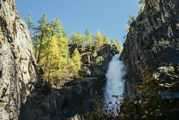 Pintoresco paisaje otoñal con gran cascada vertical y árboles amarillos en la cima de la montaña bajo el sol. Gran cascada de gran alcance en la garganta rocosa. Agua que cae alta y árboles de colores dorados en época de otoño.