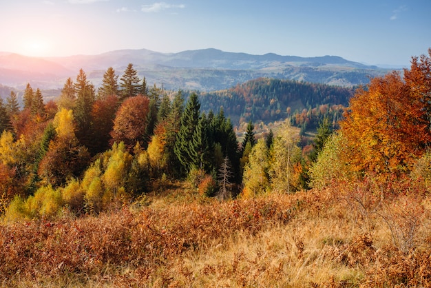 Pintoresco paisaje de otoño