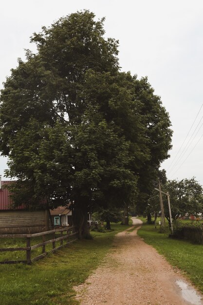 Pintoresco paisaje rural de verano con una casa de campo de madera