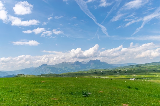 Pintoresco prado verde en el norte de Montenegro en el Parque Nacional Durmitor.