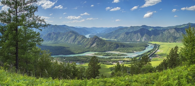 Pintoresco valle de montaña, río Katun, Altai, Siberia. Verdor de verano, vista panorámica.