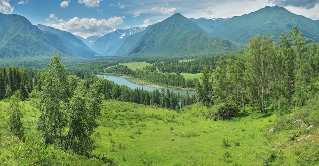 Pintoresco valle de montaña en un río soleado de verano