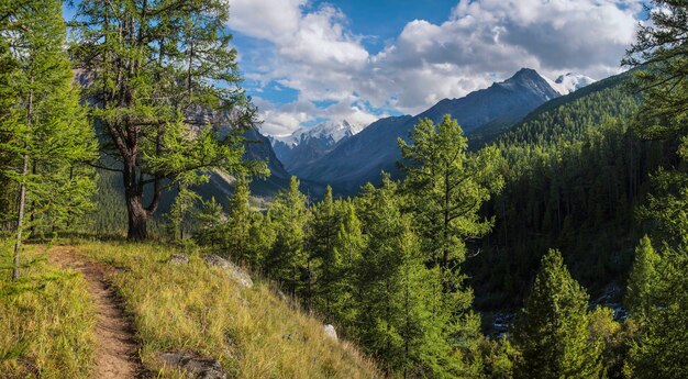 Un pintoresco valle en las montañas de Altai cubierto de bosques, día de verano