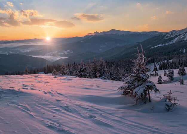 Pintorescos Alpes de invierno amanecer La cresta más alta de los Cárpatos ucranianos es Chornohora con los picos de las montañas Hoverla y Petros Vista desde la cresta Svydovets y la estación de esquí Dragobrat
