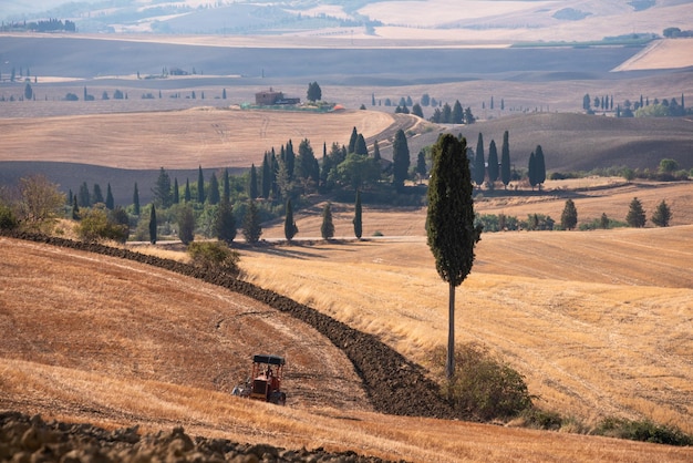 Pintorescos campos agrícolas amarillos con cipreses en Toscana Italia